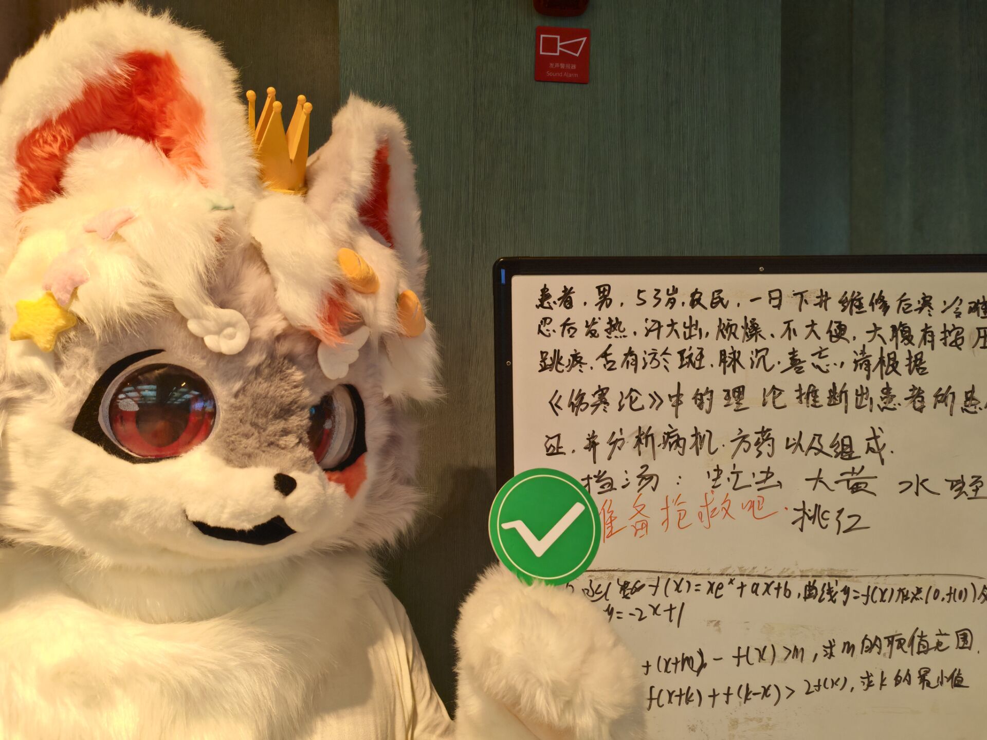 尹儿
